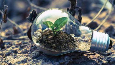 اخبار انرژی تجدید پذیر در ایران و آمار و حقایق جالب